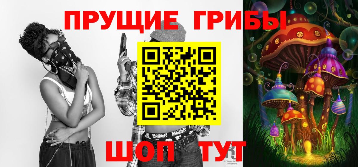 Россия  Галлюциногенные грибы Psilocybine cubensis  Вход с VPN 