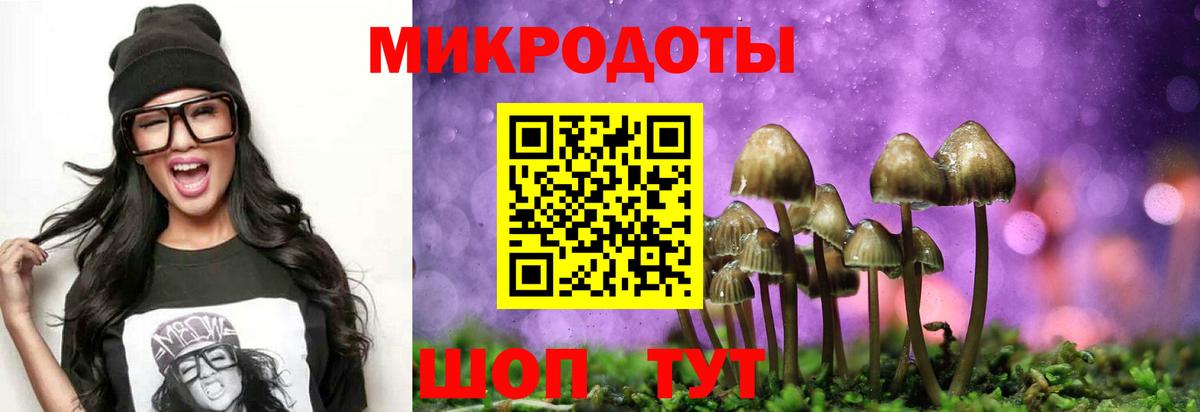 Псилоцибиновые грибы GOLDEN TEACHER Россия